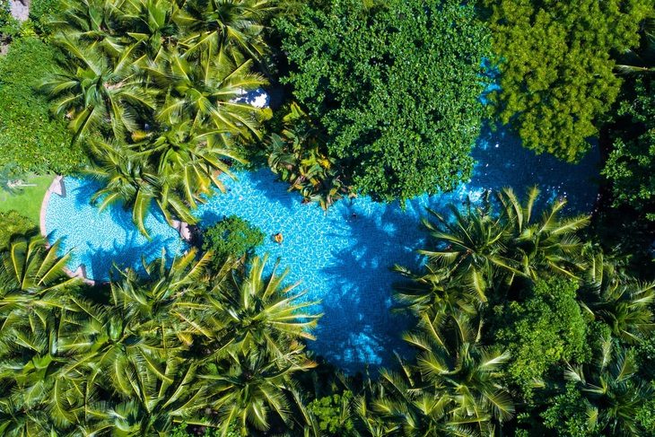 Ấn tượng trảng rừng nhiệt đới trong resort Đà Nẵng- Ảnh 1. Khu rừng trong Furama nhìn từ trên cao xuống - Ảnh: B.D.
